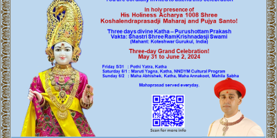 Raleigh Mandir - 7th Patotsav Celebrations